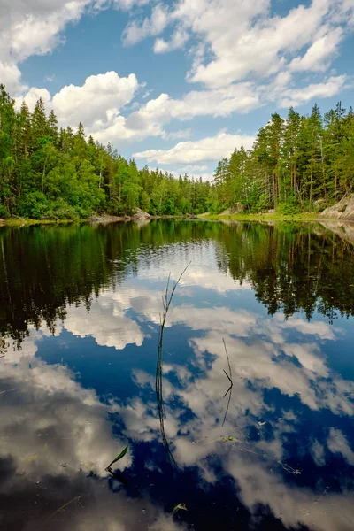 Sommertag Einem Kleinen See Umgeben Von Wald Mit Reflexionen Aus lizenzfreie Stockfotos