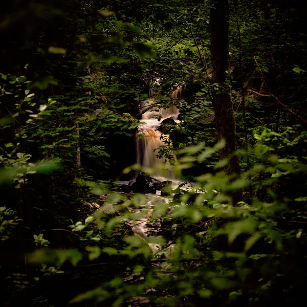 Kleiner Wasserfall Wald Mit Bäumen Die Vordergrund Unscharf Sind lizenzfreie Stockbilder