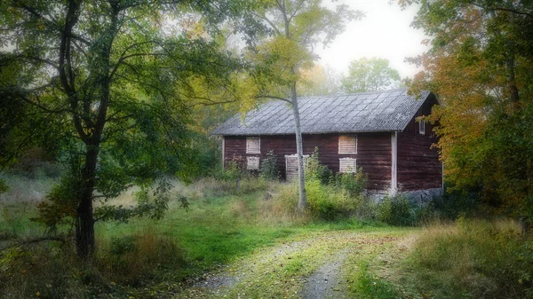 Liten Skogsväg Och Ett Gammalt Rött Hus Skogen — Stockfoto