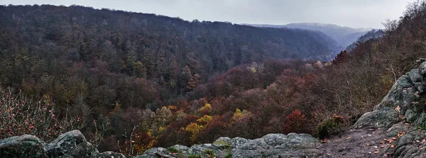 Panorama Výhledem Mlhavý Les Podzimními Barvami — Stock fotografie
