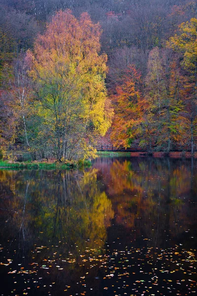 Bäume Herbstfarben Spiegeln Sich Einem See Vordergrund Das Laub Wasser — Stockfoto