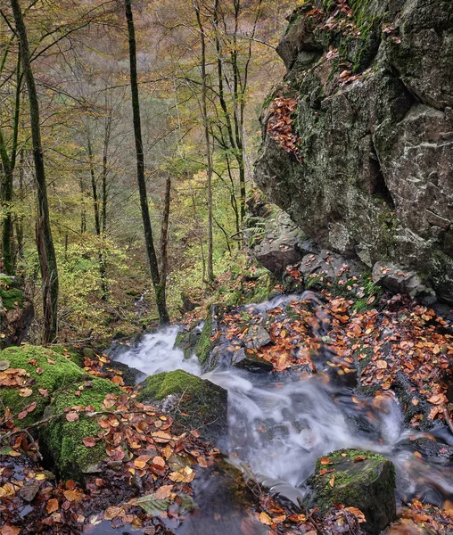 Водоспади Спускаються Вздовж Скель Лісом Боків — стокове фото