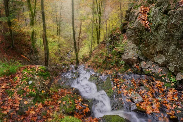 Wodospady Spływają Klifach Lasem Bokach — Zdjęcie stockowe