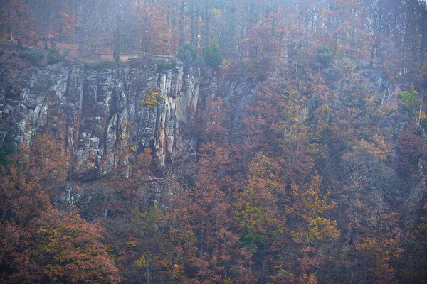 Siste sonbahar renkleri olan kayalıklar ve orman