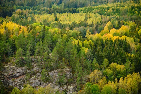 Зелені Жовті Дерева Скеля Сфотографовані Зверху — стокове фото