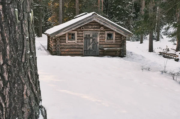 手前には屋根と地面と森に雪が積もる小さな木の小屋と松 — ストック写真