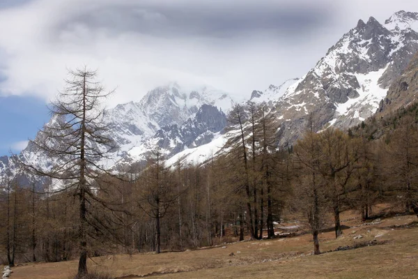 Vista Sobre Panorama Los Alpes Italianos — Foto de Stock