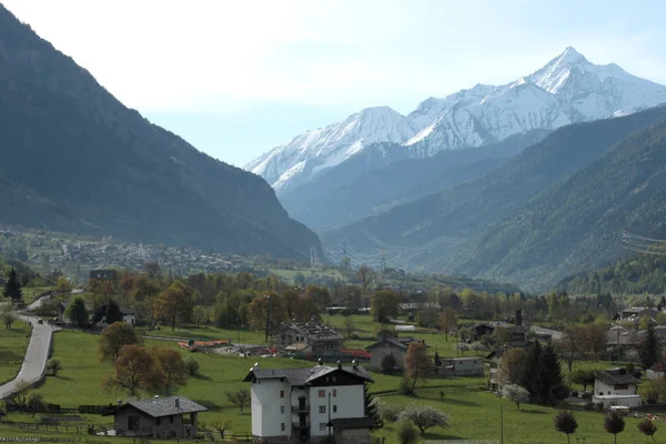 Weinberg Auf Den Italienischen Alpen — Stockfoto