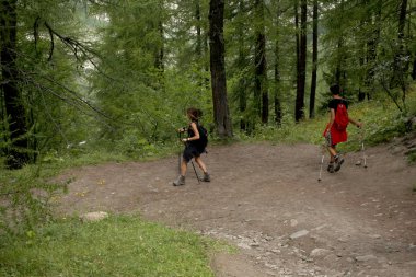 İtalya, Valle d'Aosta, 29 Temmuz 2017: iki yürüyüşçü dağlardaki bir ormanda yürüyüş