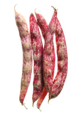 Beyaz arka plan üzerinde izole ham fasulye