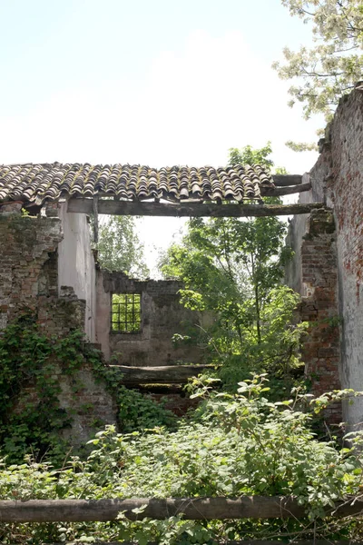 Ruinas Una Antigua Granja Campo Con Espacio Copia Para Texto — Foto de Stock