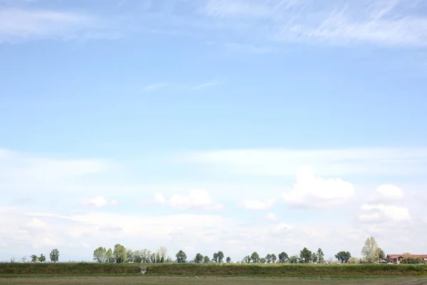 耕された畑の田園風景とテキストのコピースペースのある木の線 — ストック写真