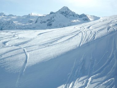 Metnin için kopyalama alanı olan toz karda kayak ve snowboard pisti