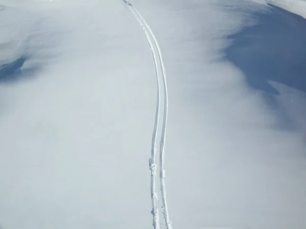 Tor Narciarski Snowboardowy Pudrowym Śniegu Miejscem Kopiowania Tekstu — Zdjęcie stockowe