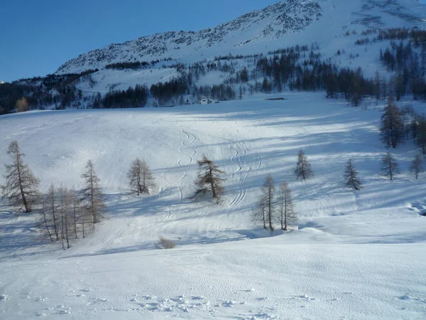 Tor Narciarski Snowboardowy Pudrowym Śniegu Miejscem Kopiowania Tekstu — Zdjęcie stockowe