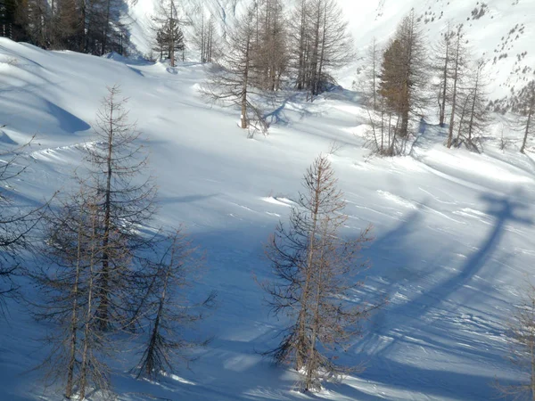 Pokryta Śniegiem Ziemia Włoskim Alpie Słoneczny Dzień — Zdjęcie stockowe