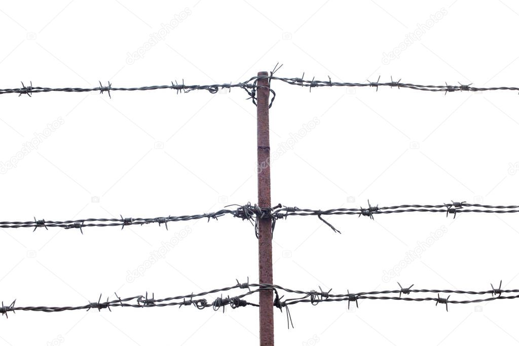 barbed wire isolated on the sky with copy space for your text
