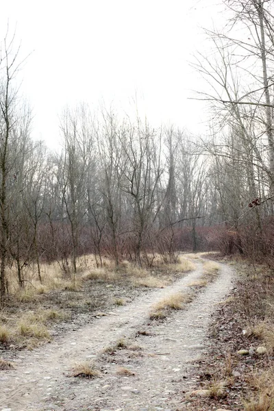 Leere Schmutzige Straße Auf Dem Land Mit Kopierplatz Für Ihren — Stockfoto