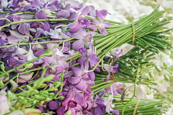 Buquês Flores Orquídea Roxa — Fotografia de Stock