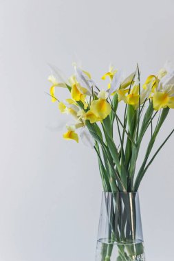 Beyaz Sarı Iris çiçek vazosu