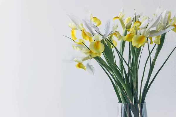 Flor Iris Amarillo Blanco Jarrón — Foto de Stock