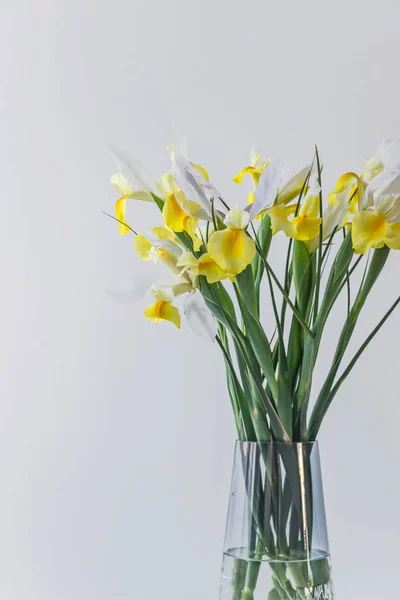 Fehér Sárga Írisz Virág Váza — Stock Fotó