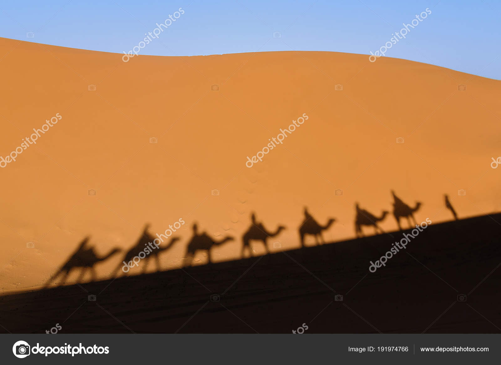 Camel Shadow Desert Stock Photo Image By C Ccelia7280 191974766