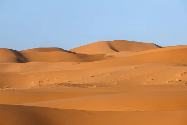 Dune Sabbia Dorata Nel Deserto Del Sahara — Foto Stock