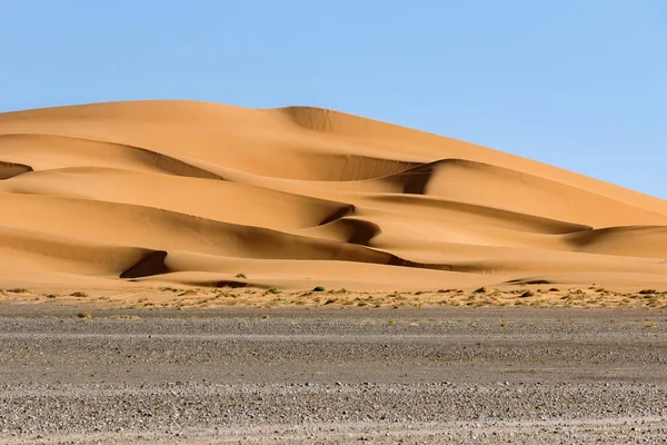 Zlaté Písečné Duny Poušti Sahara — Stock fotografie