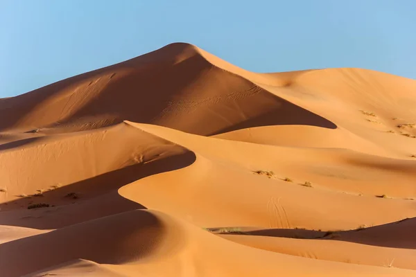 Duna Areia Dourada Deserto Saara — Fotografia de Stock