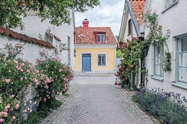 rose alley in visby sweden clipart