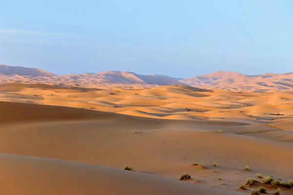 Χρυσή Άμμο Αμμόλοφος Στην Έρημο Σαχάρα — Φωτογραφία Αρχείου