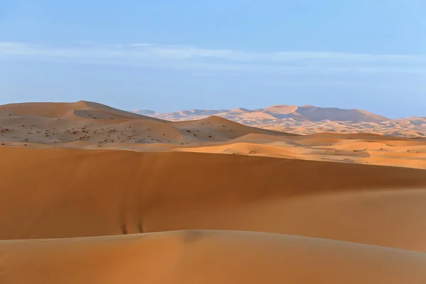 Dune Sabbia Dorata Nel Deserto Del Sahara — Foto Stock