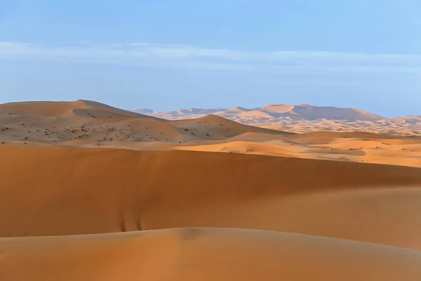 Duna Areia Dourada Deserto Saara — Fotografia de Stock