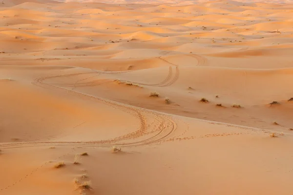 Dune Sabbia Dorata Nel Deserto Del Sahara — Foto Stock