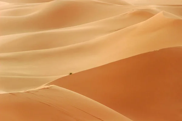 撒哈拉大沙漠中的金色沙丘 — 图库照片