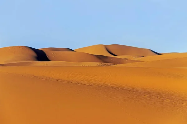 Golden Sand Dune Saharaöknen — Stockfoto