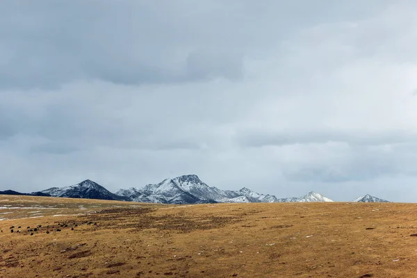 Снігова Гора Луками Взимку — стокове фото