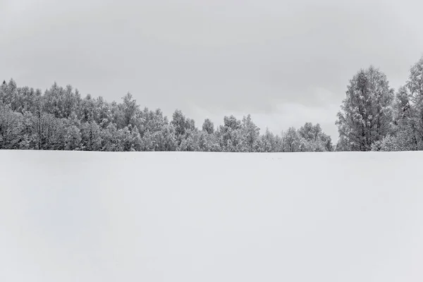 冬に雪で空のフィールドの木 — ストック写真