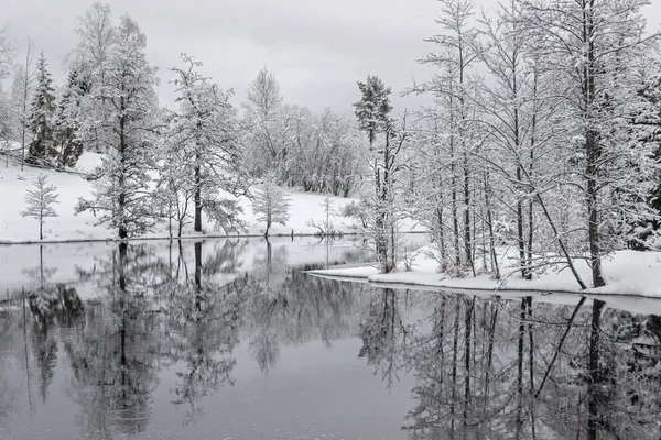 白い雪と湖の木の反射 — ストック写真