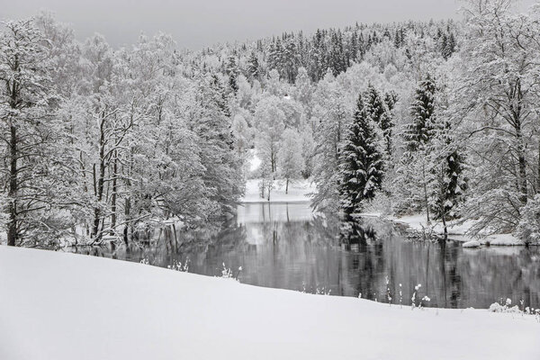 отражение деревьев в озере с белым снегом
