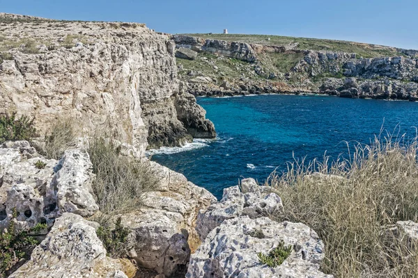 Peaceful Ocean Cliff Malta — Stock Photo, Image