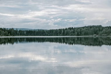 huzurlu lake ağaç yansıması