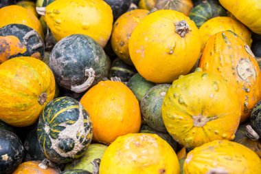 Markette sarı ve yeşil bir balkabağı yığını 