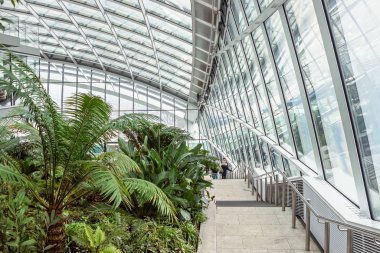 Londra 'daki Sky Garden' da yeşil bitkilerle modern iç mekan.