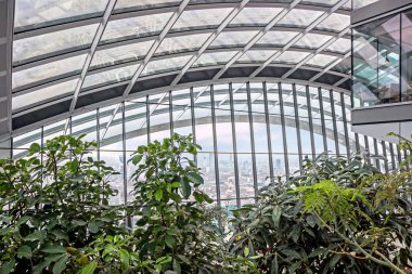 Londra 'daki Sky Garden' da yeşil bitkilerle modern iç mekan.