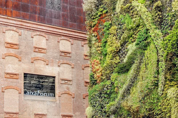 Lebende Grüne Pflanzenmauer Caixa Forum Museum Madrid — Stockfoto
