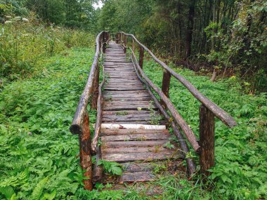 Ormandaki bir derenin üzerindeki tahta köprü.