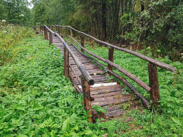 森の中の小川にかかる木製の歩道橋 — ストック写真