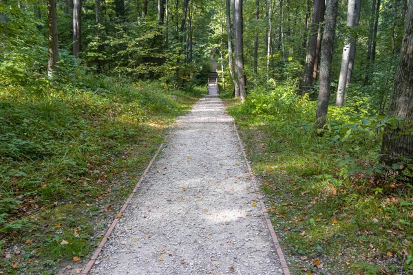 森林公園内の長い曲がりくねった歩道 — ストック写真